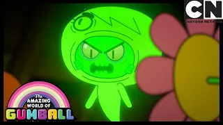 La Flor | El Increíble Mundo de Gumball en Español Latino | Cartoon Network