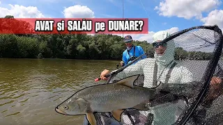 Cand Dunarea nu te vrea, dar tu vrei . Pescuit la SALAU si AVAT