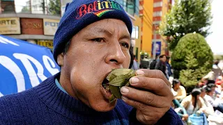 Жевать - не нюхать: ООН разрешила боливийцам коку | пародия «Почему Аборигены Съели Кука?»