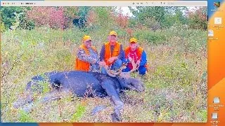 New Brunswick moose hunt 2023