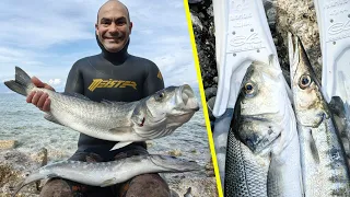 10 crazy spearfishing minutes! Trial of the experimental transparent C4 new fins!!