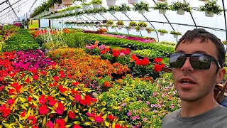 A Day In The Life Of A Greenhouse Grower