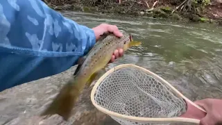 Creek Fishing For Spring Trout, 2023