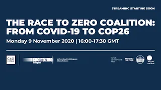 The Race to Zero Coalition: From COVID-19 to COP26