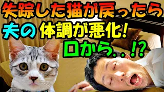 行方不明だった猫が返ってきたら、夫の体調が急激に悪化! 夫の口から出てきたものに衝撃【猫の不思議な話】【朗読】