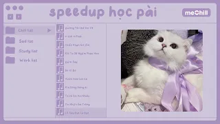 Playlist speed up nhẹ nhàng cho cậu tập trung học bài | Con Mèo Béo