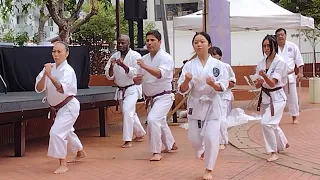 Shotokan Karate of America (all the footage)