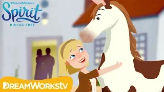 Fast Friends: Abigail & Boomerang Meet for the FIRST Time! | SPIRIT RIDING FREE