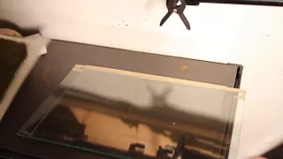 Intro to Gum Printing