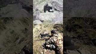 Black Bear Shot with 7mm REM MAG!