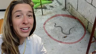 I FOUND A SNAKE!!!!