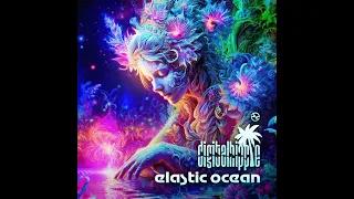 Digital Hippie - Elastic Ocean