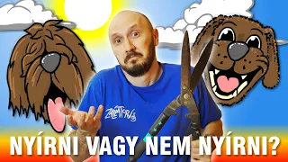 Megnyirassuk-e a szőrmókot nyárra?