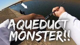 My Biggest Fish Ever! 39" 27lbs Fishing W/ Fish on Ronnie | Aqueduct Striper Fishing | Delta Mendota