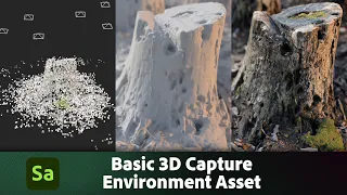 Basic 3D Capture - Capturing an outdoor scene | Adobe Substance 3D