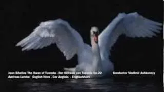 Jean Sibelius The Swan of Tuonela