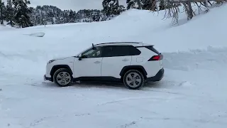 Toyota RAV4 Hibrid Luxury offroad SNOW
