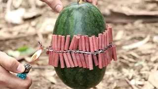 Wow! Firecracker vs Watermelon - Experiment