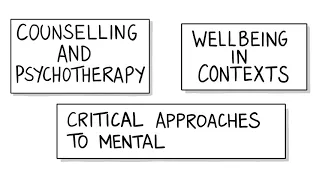 The Psychology of Health and Wellbeing (PHeW) research strand