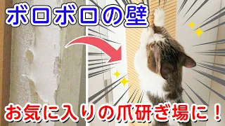 愛猫に壁で爪研ぎされてお困りの方必見！飼い主さんも猫さんもストレスフリーになれる爪とぎ☆