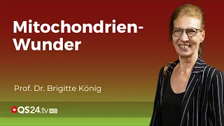 Die Geheimnisse der Mitochondrien: Die wegweisende Forschung von Professor Dr. Brigitte König | QS24