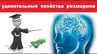 Все Врачи пьют этот Чай, очищает сосуды головного мозга, улучшает память.