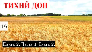 «Тихий Дон» / Подробный пересказ / Книга 2. Часть 4. Глава 2.