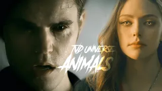 TVD Universe || Animals