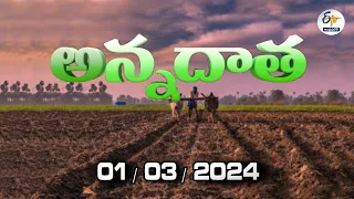 అన్నదాత | 1st March 2024 | Annadata | Full Bulletin | ETV Andhra Pradesh
