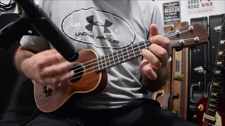 Losing My Religion - REM Ukelele Cover