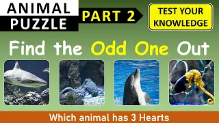 Find the ODD ONE OUT - GK Quiz Animals: Part 2 | Choose the Odd One Out in this Animal Quiz