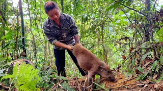 Survival instinct, detect traces of wild boar, make some rudimentary traps to trap wild boar