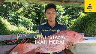Ikan Merah Mega! Cara Mudah Siang! Wajib Tonton!