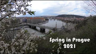 Spring in Prague 2021 | Letna park, Czech Republic | Best view of Prague from the hill | 4K