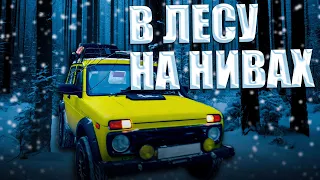 На Нивах по зимнему лесу. Маршрут Минжуль. Застряли в грязи. Влог