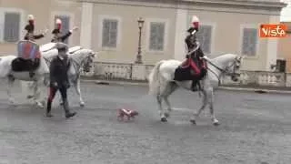 BRICIOLA IL CANE DEI CARABINIERI FESTEGGIA L'UNITA' D'ITALIA