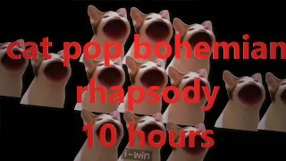 Cat Pop Bohemian Rhapsody 10 hours