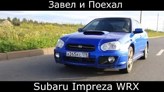 Тест драйв обзор Subaru Impreza WRX (субару импреза)