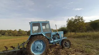 трактор мтз 82   оранка 2020