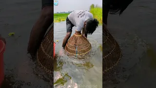 😯Amazing Bamboo Tools Polo Fishing Video In New Foold Water(Part-10) #shorts #fish #polo_fishing