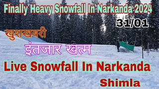 Finally Heavy Snowfall In Narkanda // Live Snowfall In नारकंडा शिमला