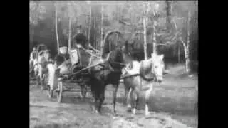 Leo Tolstoy in Moscow / Л. Н. Толстой в Москве в 1909 г.