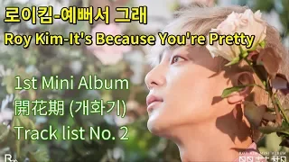 로이킴-예뻐서 그래 Roy Kim-It's Because You're Pretty [가사 lyrics]