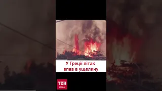 😱 Ужасная авиакатастрофа над пожаром! Самолет зацепился крылом за деревья