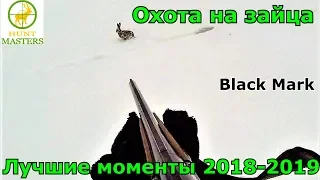 Охота на зайца. УДАЧНЫЕ ВЫСТРЕЛЫ. The hunting of the hare. 2018-2019