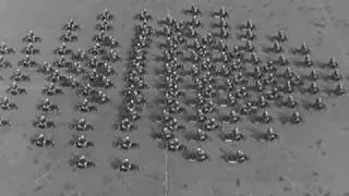 La festa della Polizia 1950