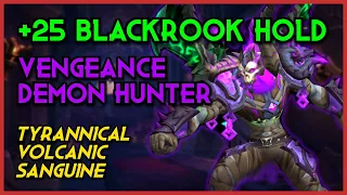 Vengeance Demon Hunter | +25 Blackrook Hold | Dragonflight Season 3 Mythic Plus