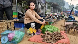 FULL VIDEO : harvest, ginger, green vegetables, wild tubers brought to the market to sell Lý Thị Sai