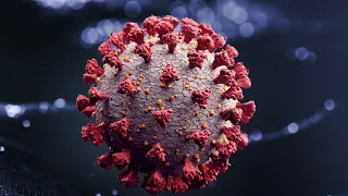 Coronavirus variants: New strains of COVID-19 represent 'increment setbacks,' says physician