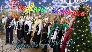 РІЗДВО - КОЛЯДА - Нова радість стала - Берездівчанка - There was a new joy - Ukraine CHRISTMAS